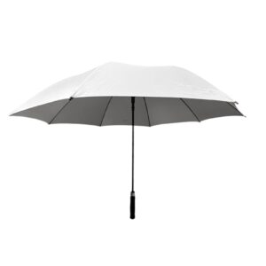 PARAGUA 1 CAPA GRIS CON FONDO PLATEADO